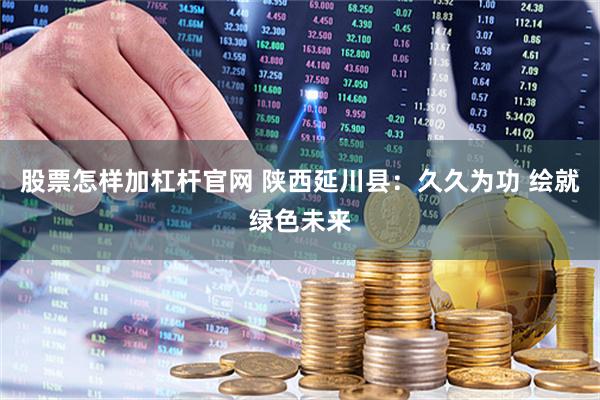 股票怎样加杠杆官网 陕西延川县：久久为功 绘就绿色未来