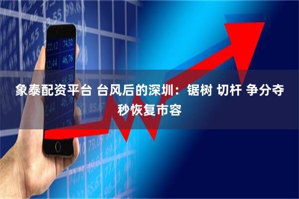 象泰配资平台 台风后的深圳：锯树 切杆 争分夺秒恢复市容